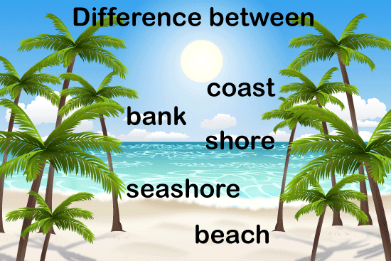shore, bank, coast, beach and seashore